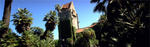 Tower Hall with Ivy by San Jose State University