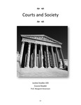 Courts and Society in the United States