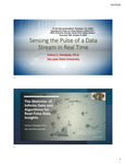 Sensing the Pulse of a Data Stream in Real Time